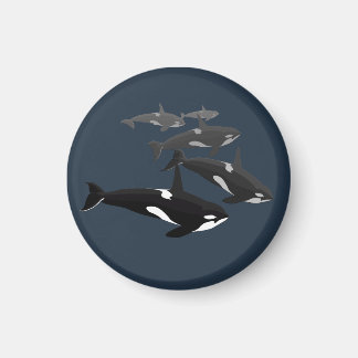 Orca Whale Fridge Magnet Killer Whale Art Magnets