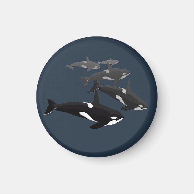 Orca Whale Fridge Magnet Killer Whale Art Magnets (Front)