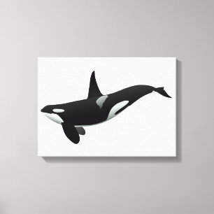Orca whale illustration - Choose background color Canvas Print