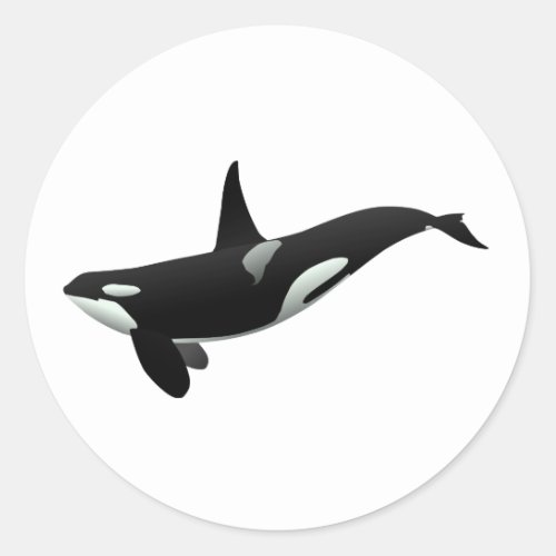 Orca whale illustration _ Choose background color Classic Round Sticker