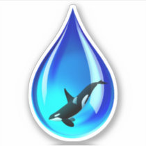 Orca Whale in Water Drop Sticker