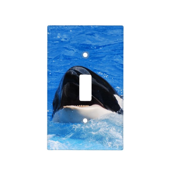 Orca Whale Light Switch Plates