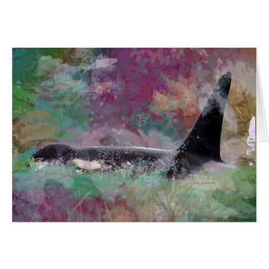 Orca Whale Orcinus Cloud Fantasy Cards (Front Horizontal)