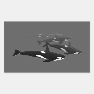 Orca Whale Stickers Killer Whale Art Stickers