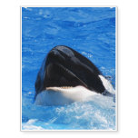 Orca Whale Temporary Tattoos