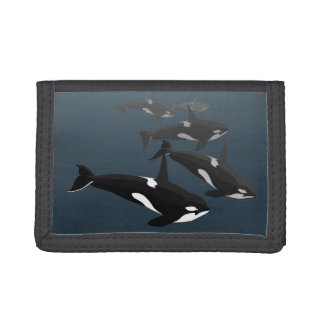 Orca Whale Wallet Killer Whale Art Wallets Gifts
