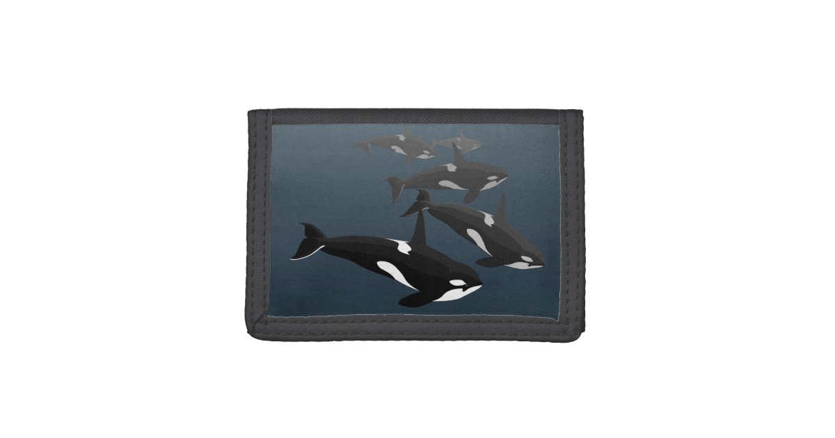 Orca Whale Wallet Killer Whale Art Wallets Gifts Zazzle