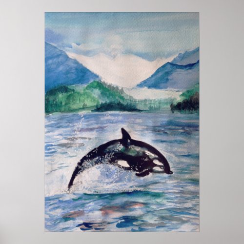 Orca Whale watercolor drawing Value Poster