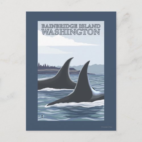 Orca Whales 1 _ Bainbridge Island Washington Postcard