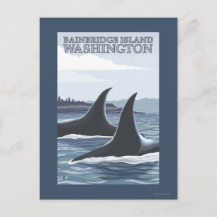 Orca Whales #1 - Bainbridge Island, Washington Postcard