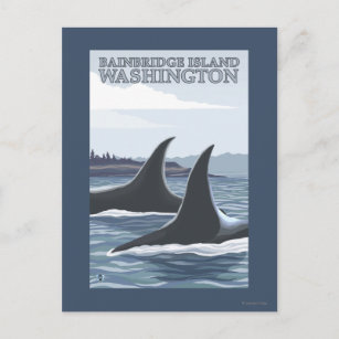 Orca Whales #1 - Bainbridge Island, Washington Postcard