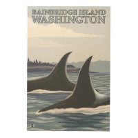 Orca Whales #1 - Bainbridge Island, Washington