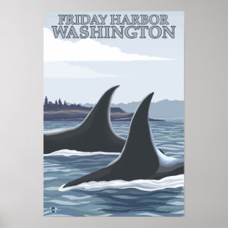Orca Whales #1 - Friday Harbor, Washington Poster