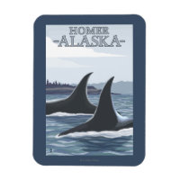 Orca Whales #1 - Homer, Alaska