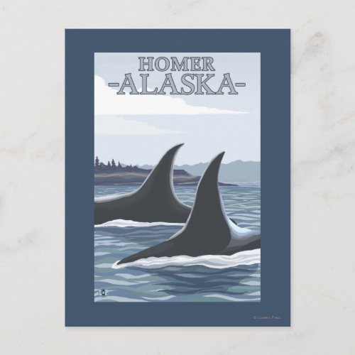 Orca Whales 1 _ Homer Alaska Postcard