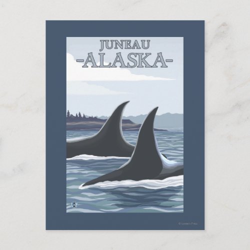Orca Whales 1 _ Juneau Alaska Postcard