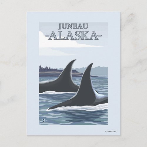 Orca Whales 1 _ Juneau Alaska Postcard