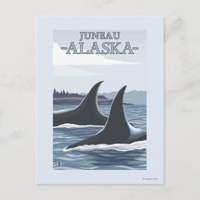 Orca Whales #1 - Juneau, Alaska Postcard (Front)