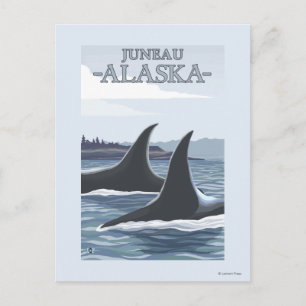 Orca Whales #1 - Juneau, Alaska Postcard