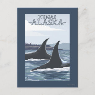 Orca Whales #1 - Kenai, Alaska Postcard
