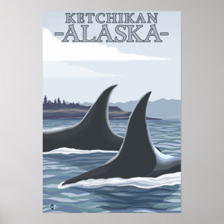 Orca Whales #1 - Ketchikan, Alaska Poster