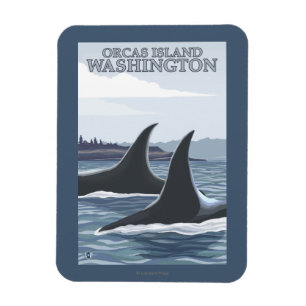 Orca Whales #1 - Orcas Island, Washington Magnet