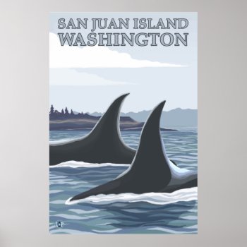 Orca Whales #1 - San Juan Island  Washington Poster by LanternPress at Zazzle