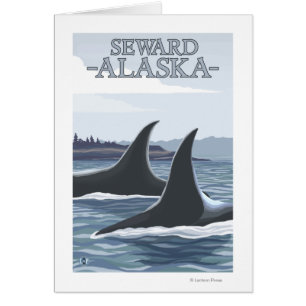 Orca Whales #1 - Seward, Alaska Cards