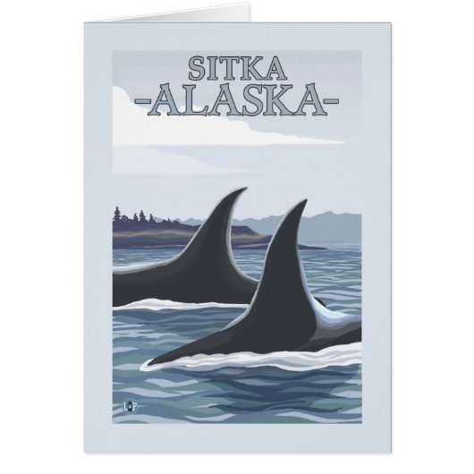 Orca Whales #1 - Sitka, Alaska (Front)