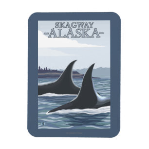 Orca Whales #1 - Skagway, Alaska Magnet