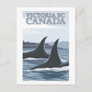 Orca Whales #1 - Victoria, BC Canada Postcard