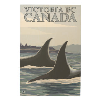 Orca Whales #1 - Victoria, BC Canada Wood Wall Art