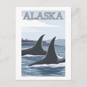 Orca Whales #1- Vintage Travel Poster Postcard