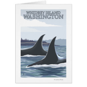 Orca Whales #1 - Whidbey, Washington Cards