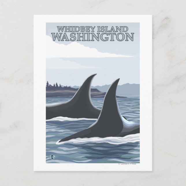 Orca Whales #1 - Whidbey, Washington Postcard (Front)