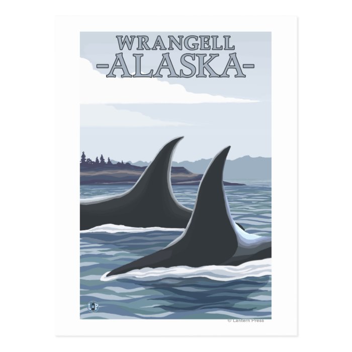 Orca Whales #1   Wrangell, Alaska Post Card