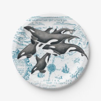 Orca  Whales Ancient Blue Paper Plates by EveyArtStore at Zazzle