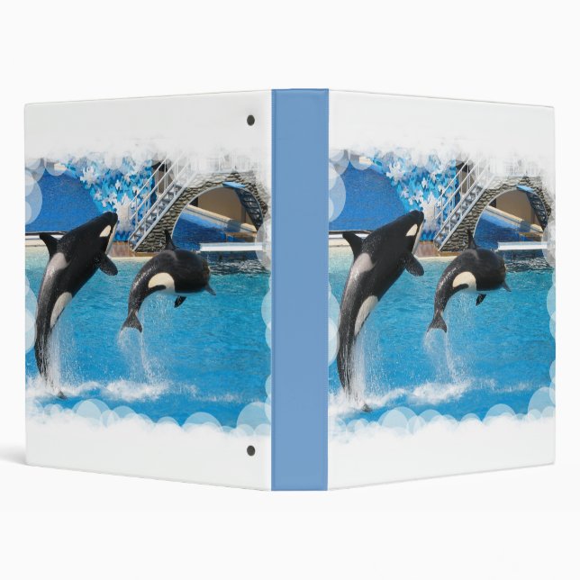 Orca Whales Binder (Background)
