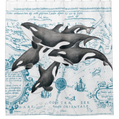 Orca whales family ancient blue shower curtain