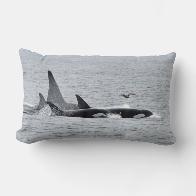 Orca Whales! Front and Back! Pillow (Front)