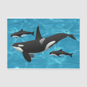 Orca Whales Tissue Paper