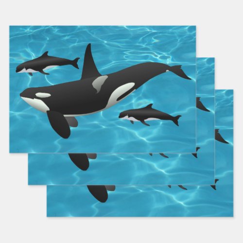 Orca Whales Wrapping Paper Sheets