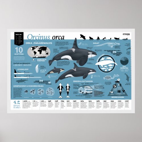Orcagraphic poster _ Nederlandse editie