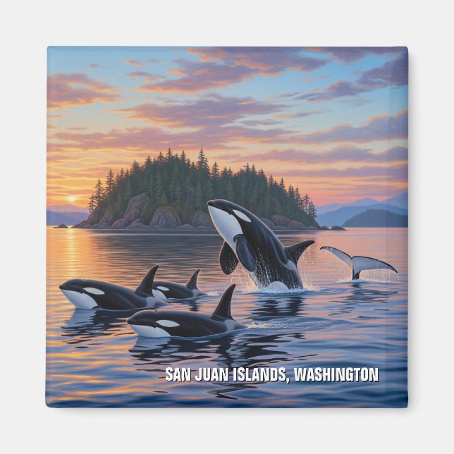 Orcas in Washington san juan islands travel Magnet (Front)
