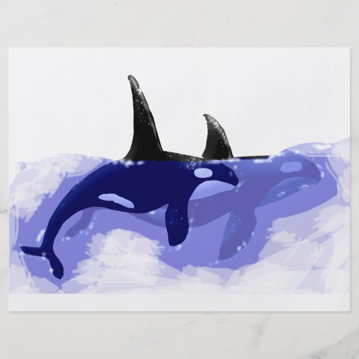 Orcas Killer Whales Flyer