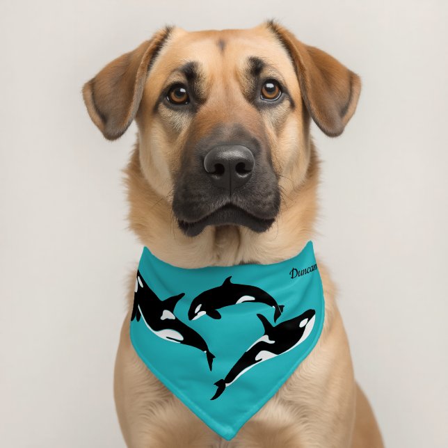 Orcas Killer Whales Personalized Pet Bandana Collar (Dog 2)