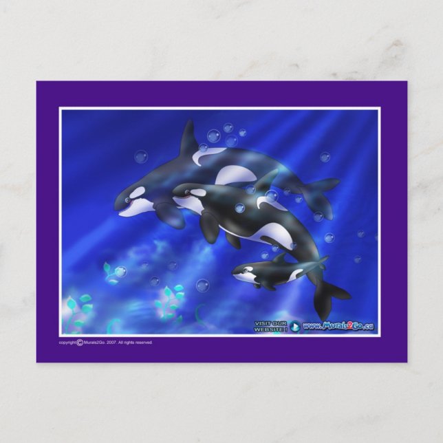 orcas postcard (Front)