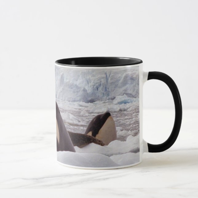 Orcas Spyhopping Mug (Right)