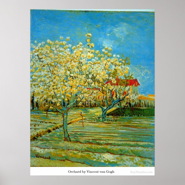Orchard by Vincent van Gogh Poster (Front)