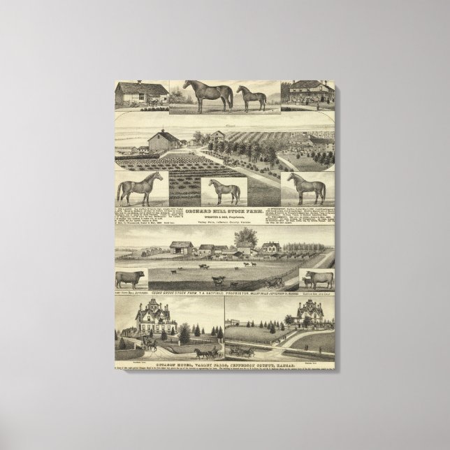 Orchard Hill and Cedar Grove, Kansas Canvas Print (Front)